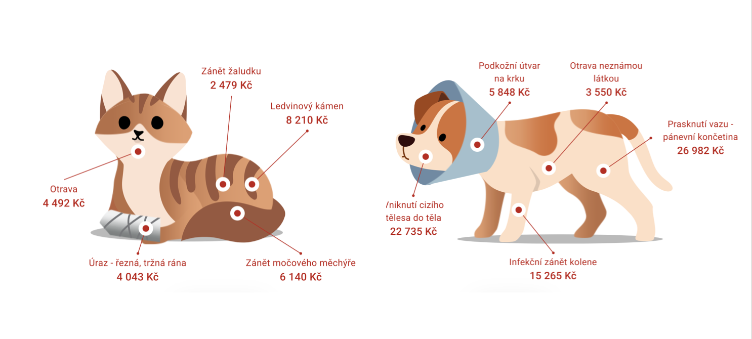 pejsek-a-kocicka.png